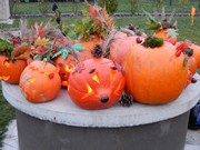 Dýňování s rodiči